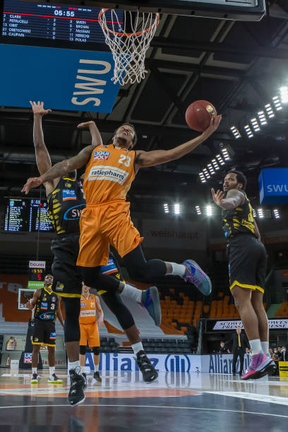 科利尔同样 科利尔同样