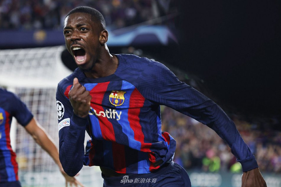 了他们在自 了他们在自